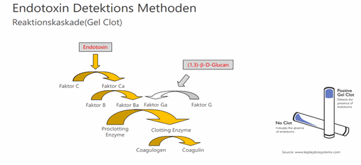LAL bacterial endotoxin analysis